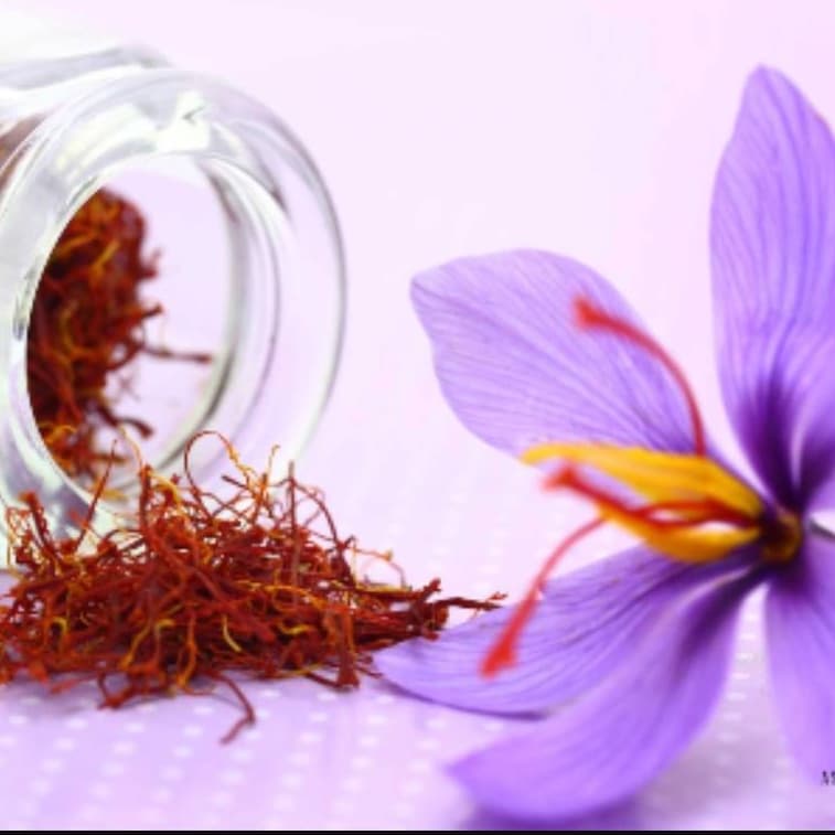 Northese Saffron