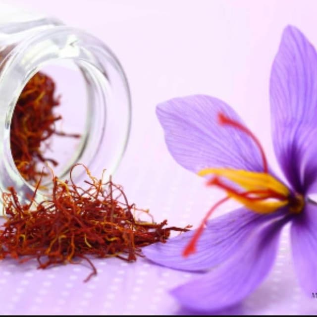Northese Saffron